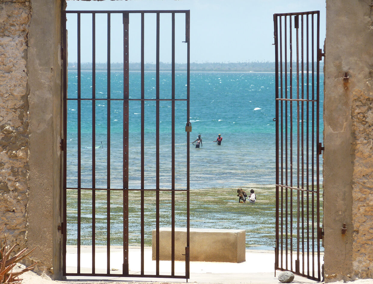 Ile du Mozambique et plages de rêves à Nuarro