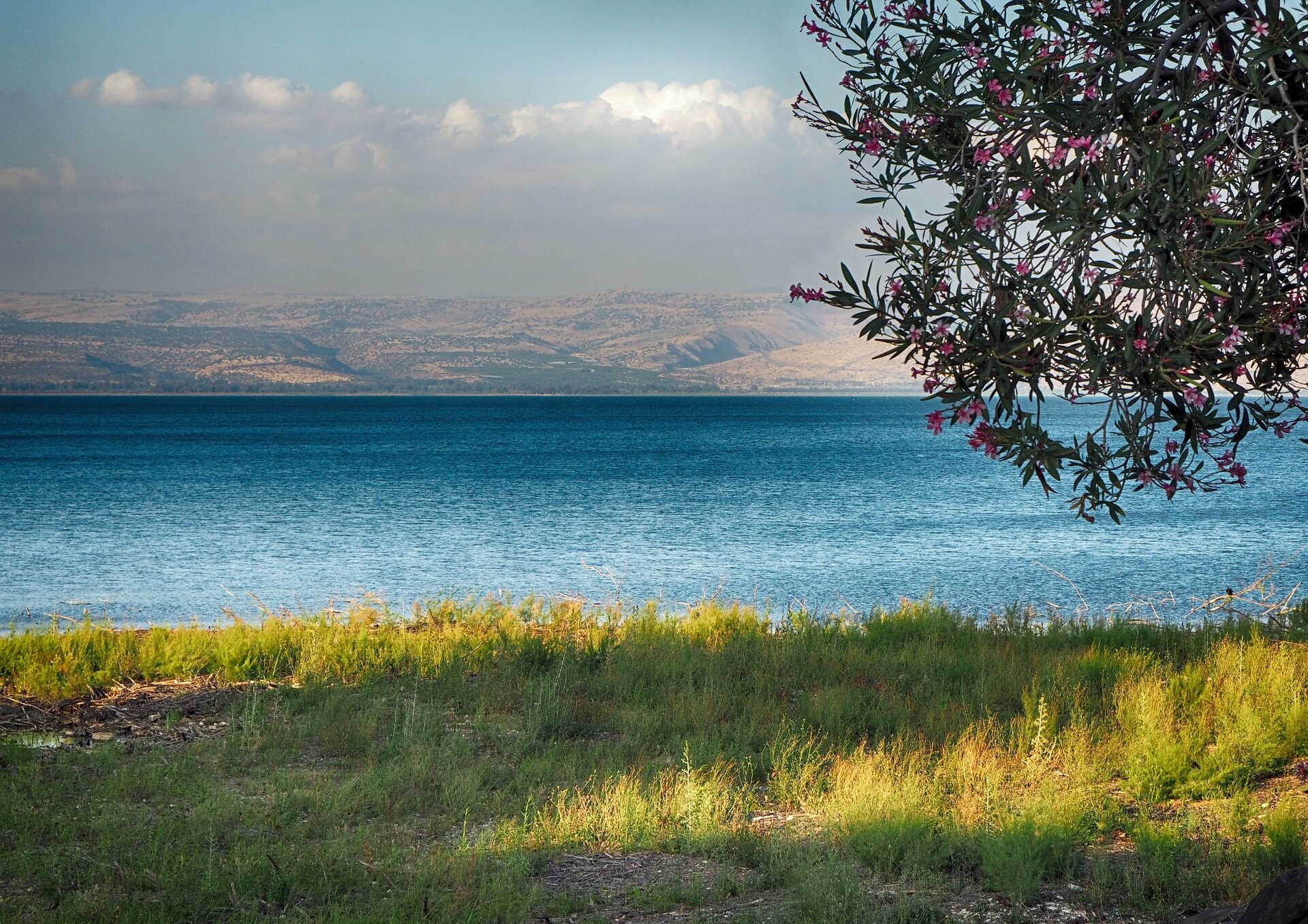 Déserts et Mers d&rsquo;Israël