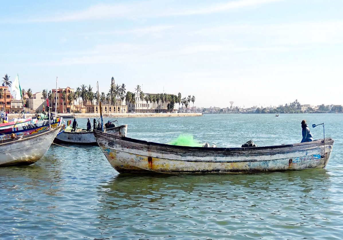 L&rsquo;essentiel du Sénégal