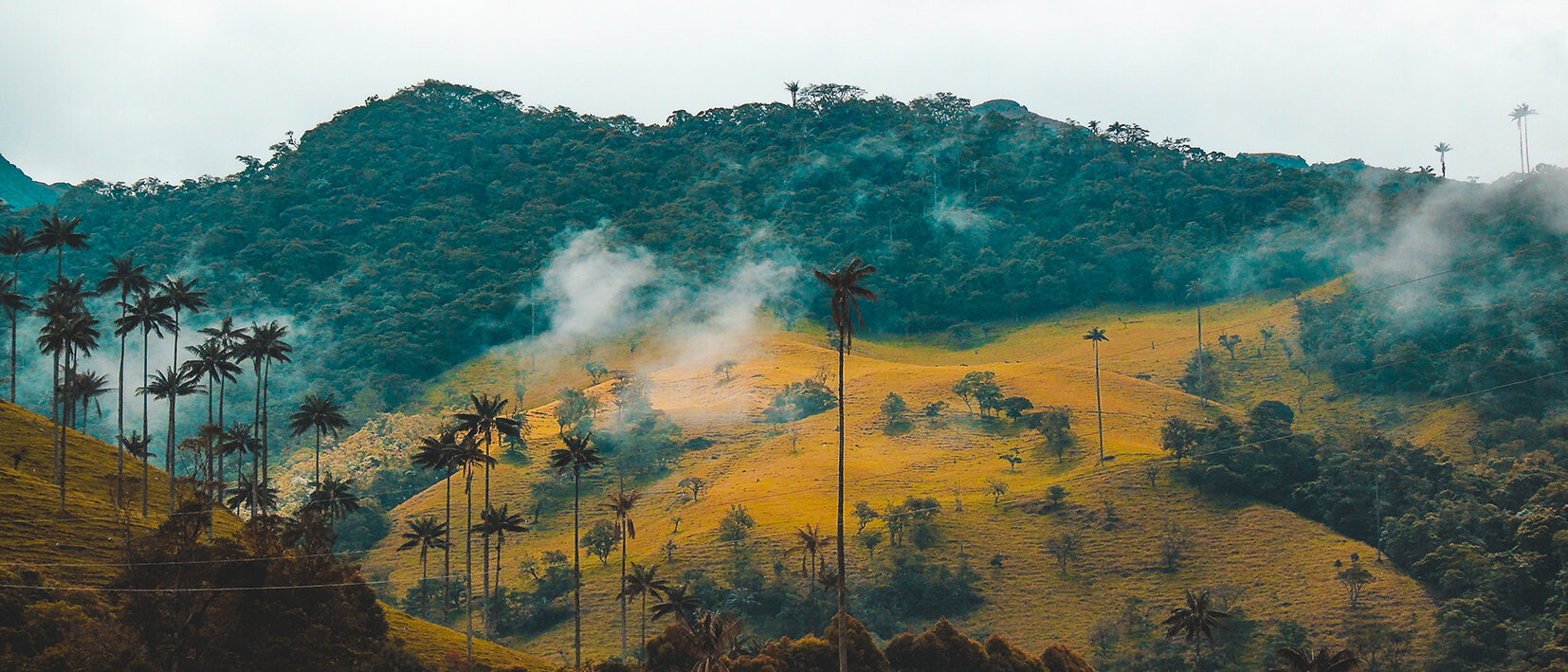 en Colombie