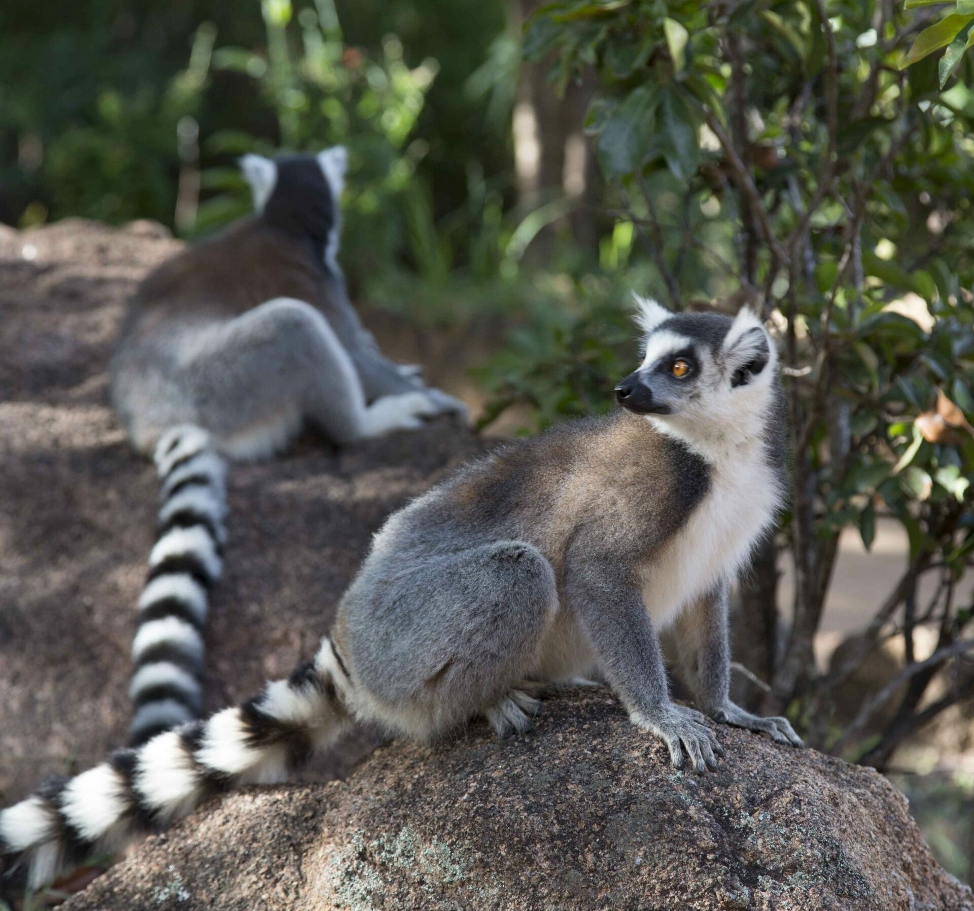 Biodiversité à l&rsquo;Est