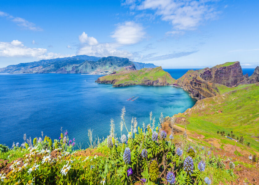 L&rsquo;ile aux fleurs et Porto Santo