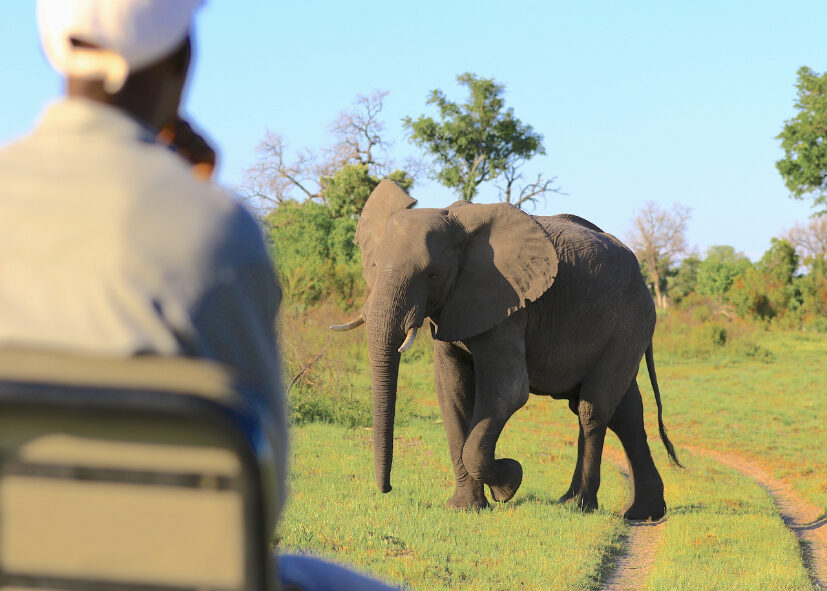 Aventure de l&rsquo;Okavango aux chutes Victoria