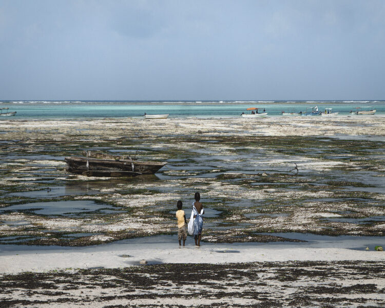 Zanzibar, l&rsquo;ile aux épices